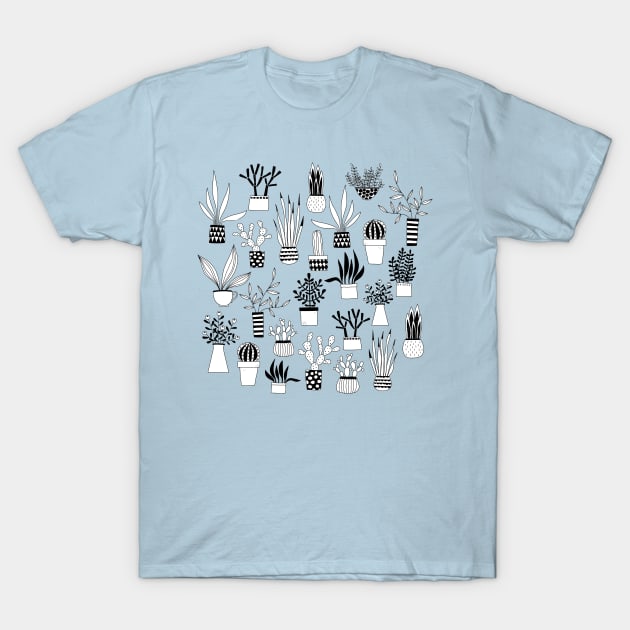 Cactus, Cacti and Succulent Drawings T-Shirt by NicSquirrell